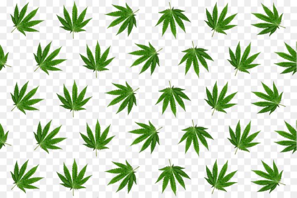 Kraken 2025 ссылка