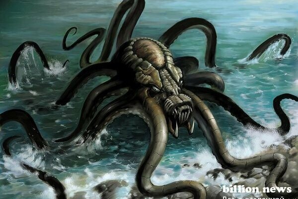 Kraken что это за сайт